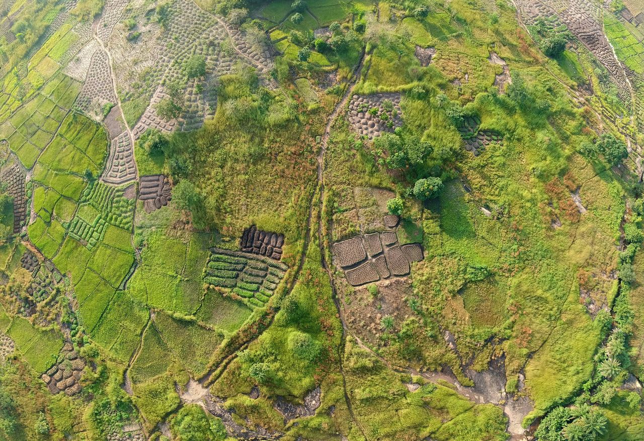 Aerial view of a patchwork of farm fields