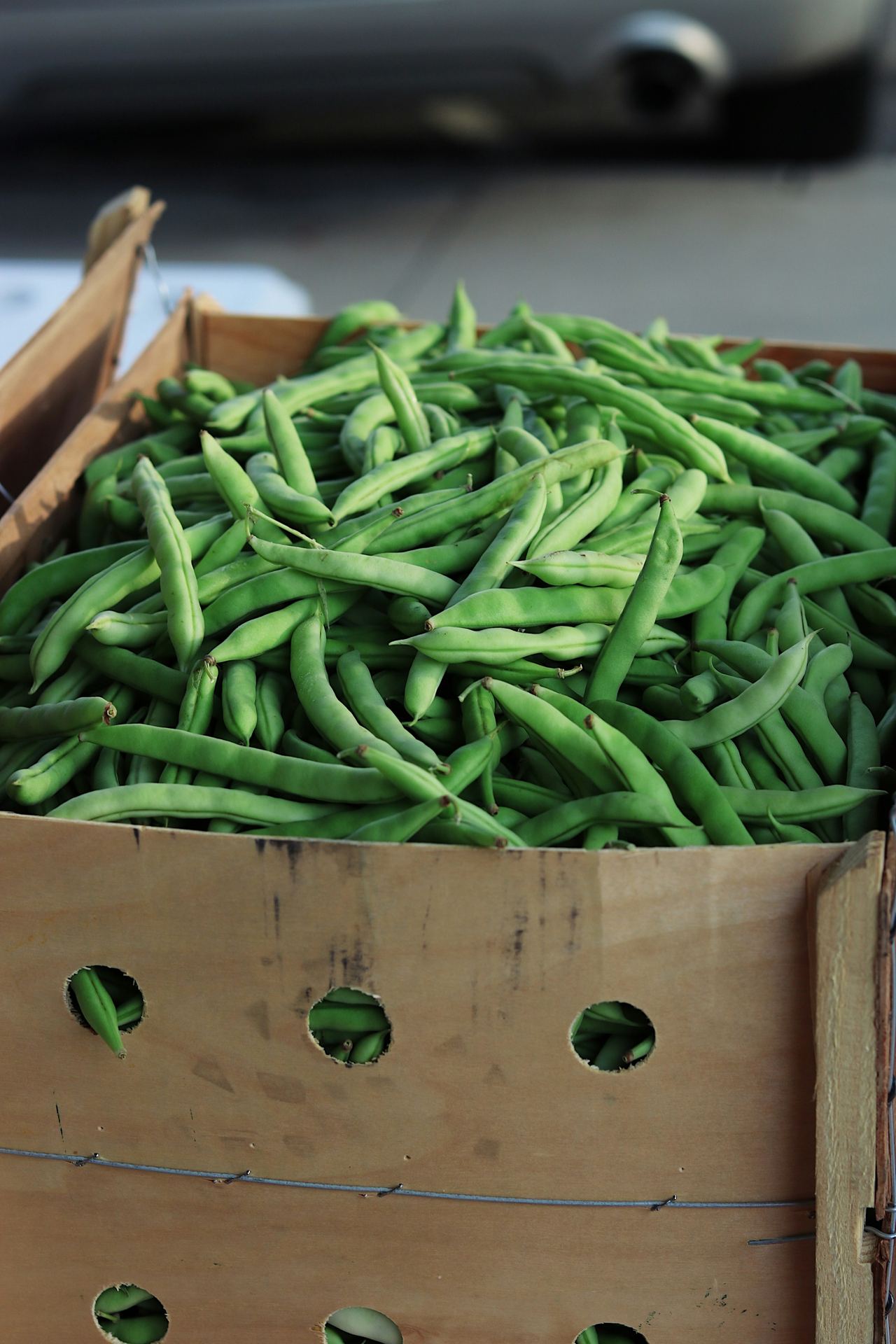 Freshly picked green beans in a crate