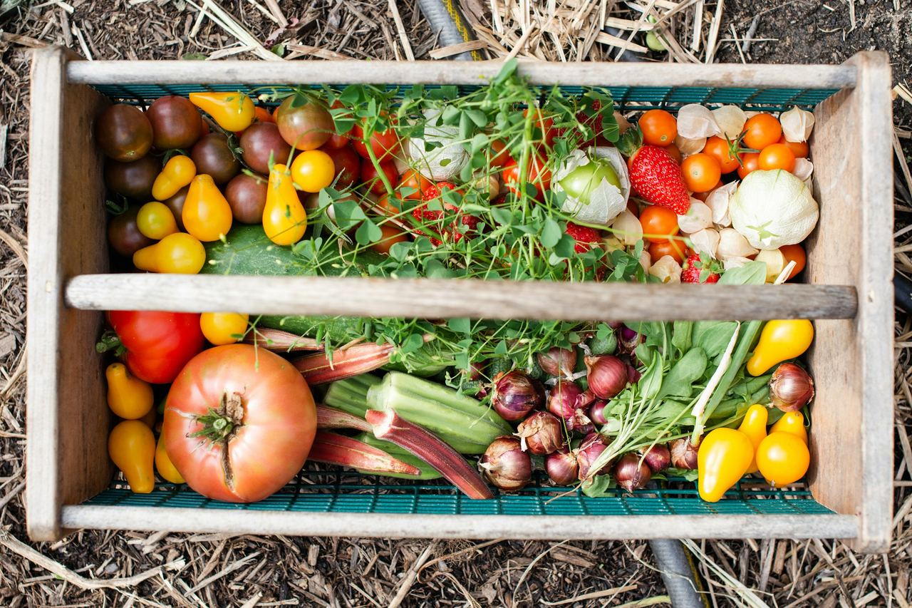 A wooden crate of freshly harvested vegetables