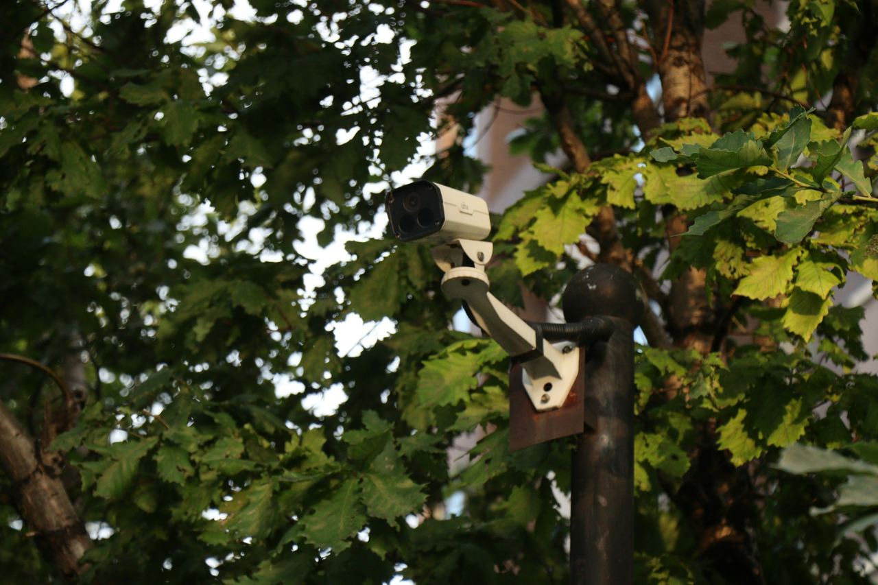 An outdoor security camera mounted among trees