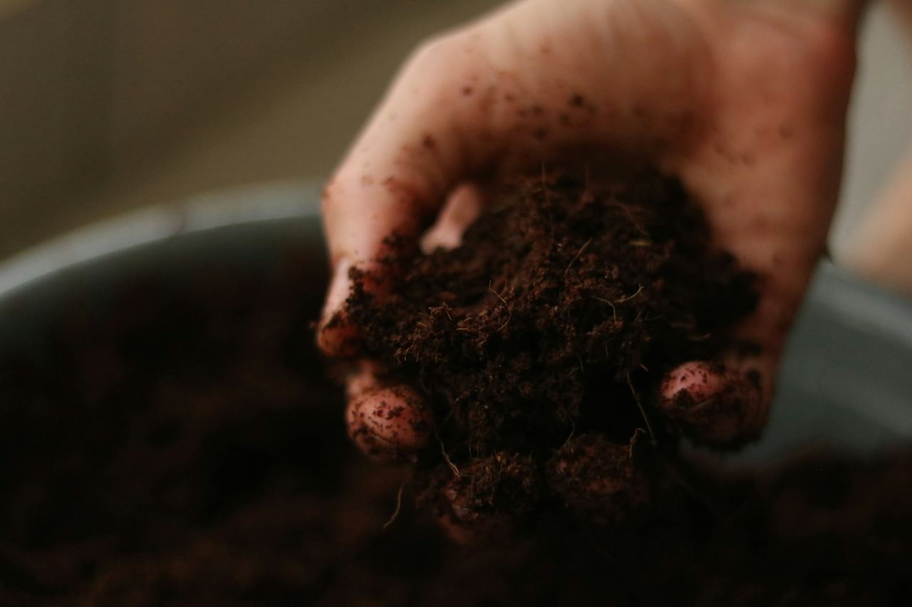 A hand holding dark, rich soil