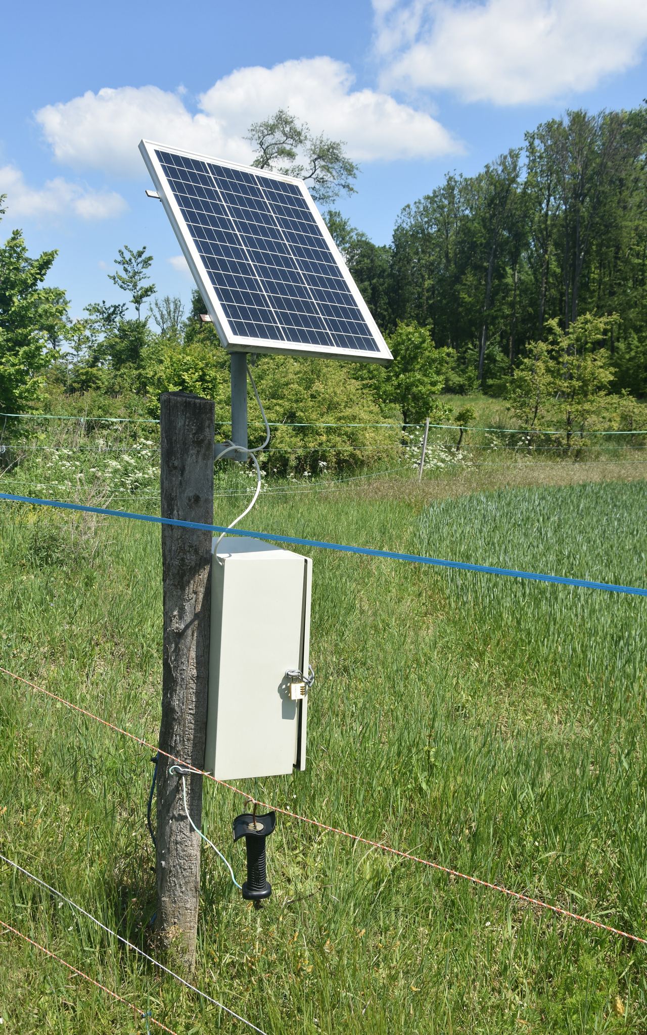 A small solar panel powering a device on a field post