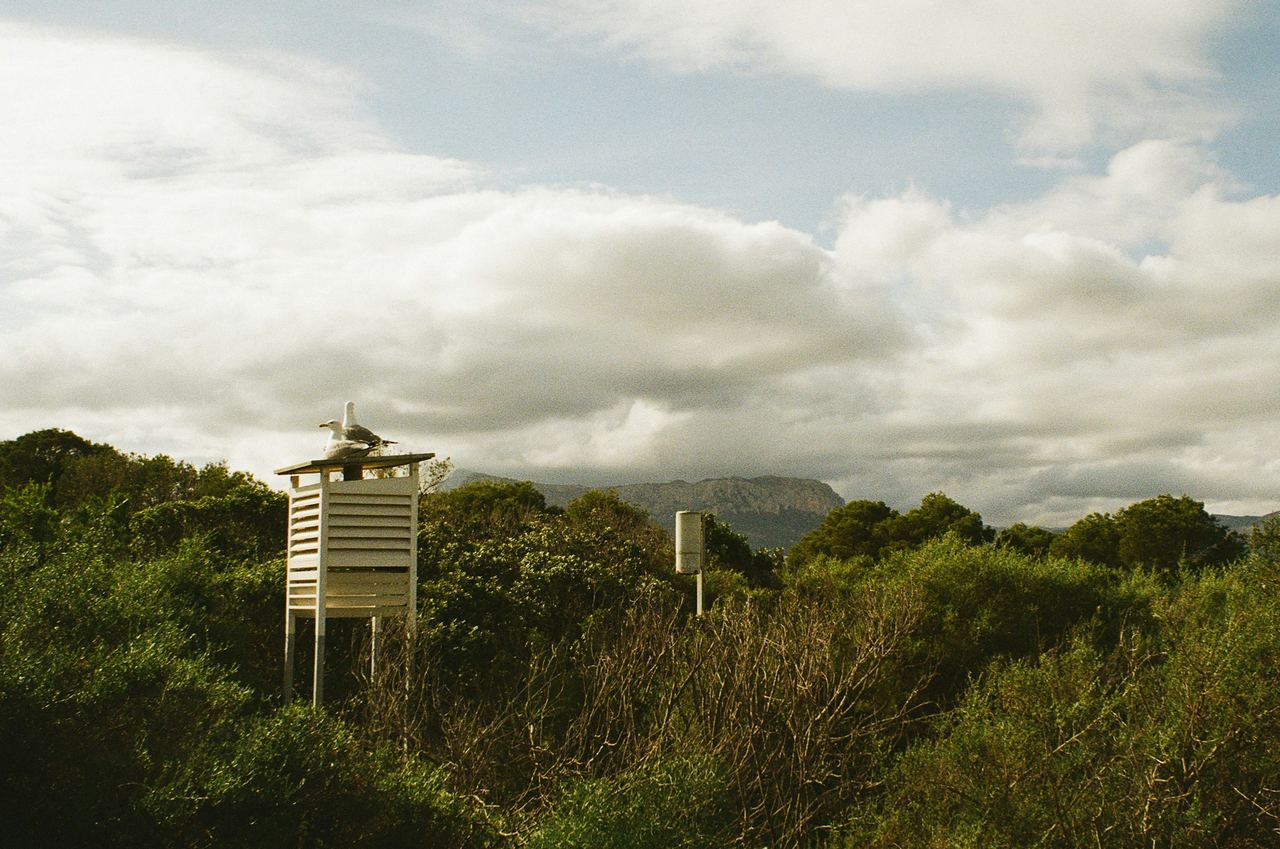 A weather station in a green landscape